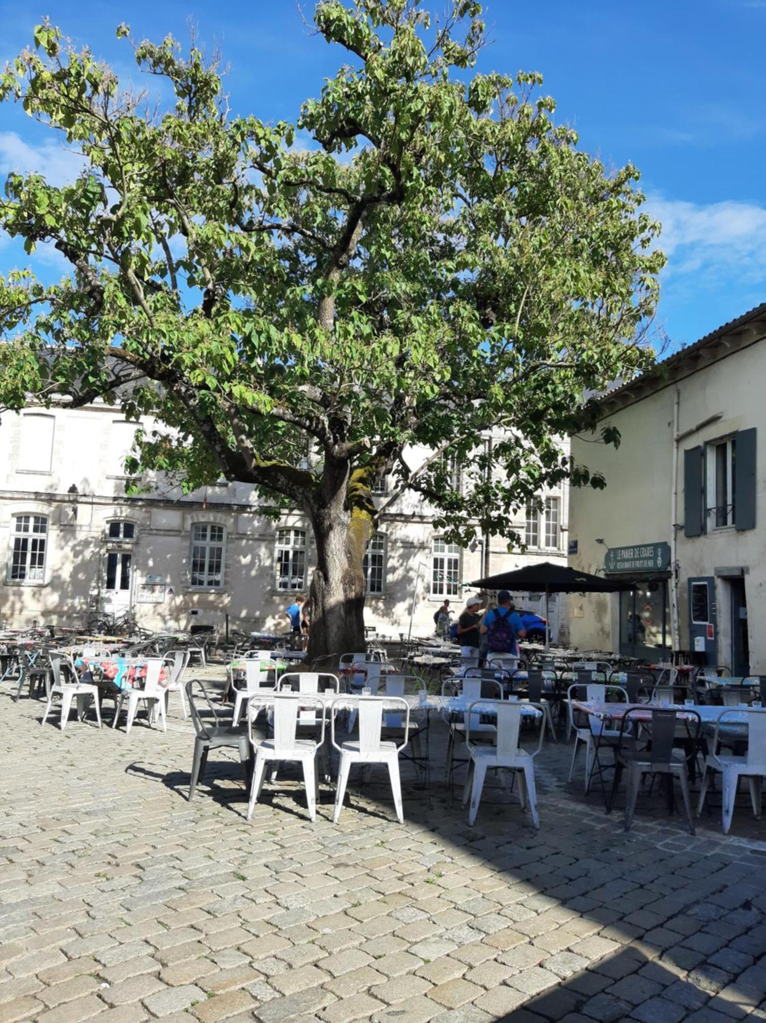 Comtesse Appartement *